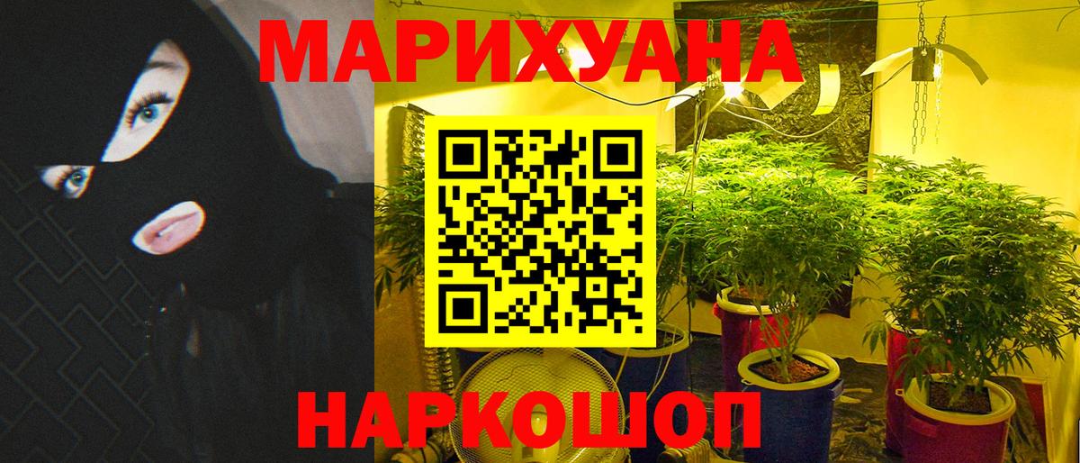 Бошки Шишки OG Kush  Марихуана OG Kush  Краснодар  Вход с VPN  Марихуана White Widow 